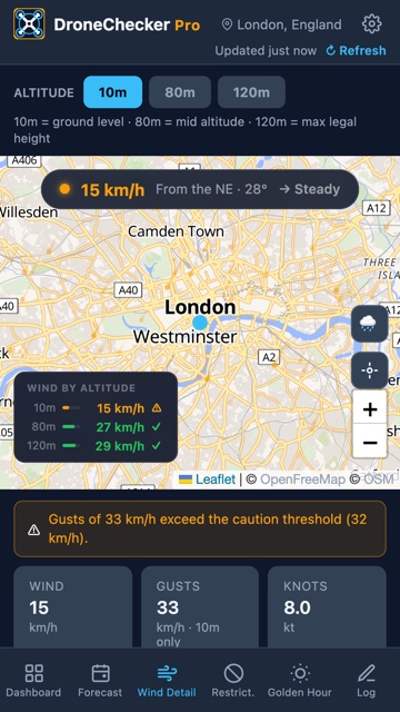 Wind Detail screen showing wind speed and direction on a map with a wind-by-altitude breakdown
